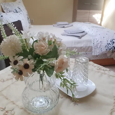 Casa Ana Maria Cisnădie