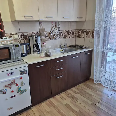 Alojamento de Acomodação e Pequeno-almoço Casa Ana Maria Cisnădie
